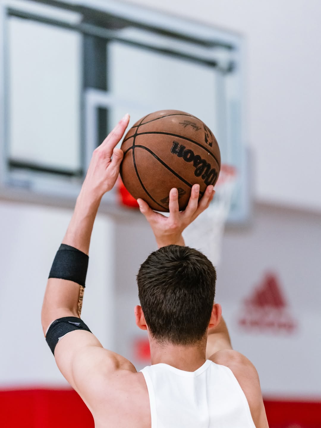 amp, 迷分享, cn amp, 迷分享, cn