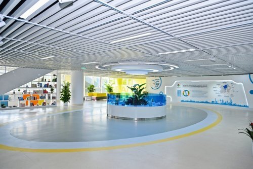 期间连接赛, om, 与文化交流 期间连接赛, om, 与文化交流